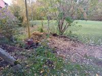 20251018_134105 (1024x768).jpg